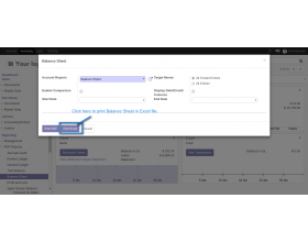 Odoo Accounting Excel Reports