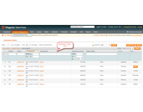 Magento (OpenMage) Braintree Payment Gateway