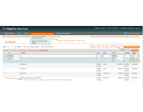 Magento (OpenMage) Chained Custom Option Template