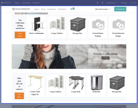 Odoo Website Collection Page