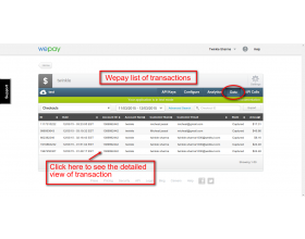 Odoo Website Wepay Payment Acquirer