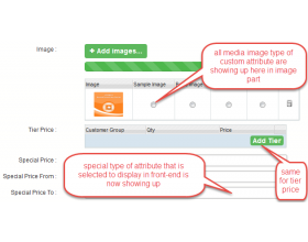 Magento (OpenMage) Customer Partner Custom Attribute