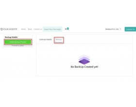 Odoo Saas Kit Backup