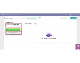 Odoo Saas Kit Backup