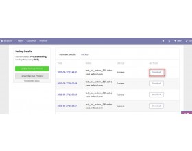 Odoo Saas Kit Backup