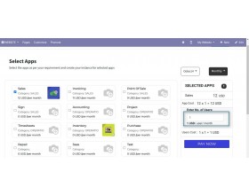 Odoo SaaS Custom Plans
