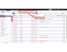 Odoo Keep Initial Address For Delivery