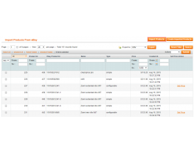 Magento (OpenMage) eBay Connector