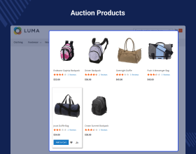 Auction for Magento 2