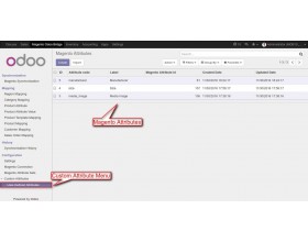 Custom Attribute Odoo Bridge For Magento (OpenMage)