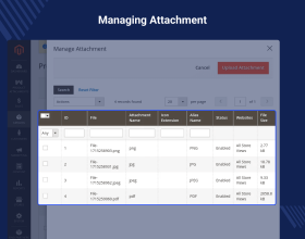 Magento 2 Product Attachments 