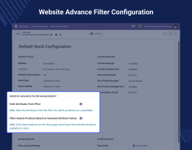 Odoo Website Advance Filter Management