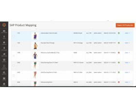 SAP Magento 2 Connector 