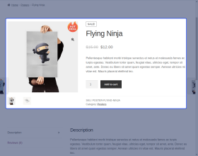 WooCommerce Custom Product Labels