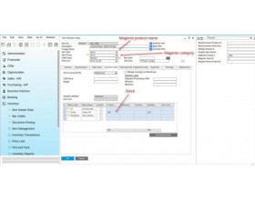 SAP Magento 2 Connector 