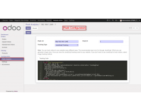 Odoo Matomo (formerly Piwik) Integration
