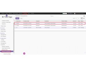 Odoo Website Braintree Payment Acquirer