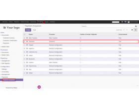 Odoo Website Braintree Payment Acquirer