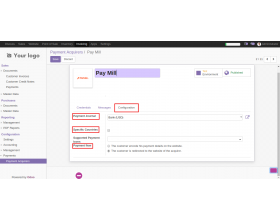 Odoo Website Paymill Payment Acquirer