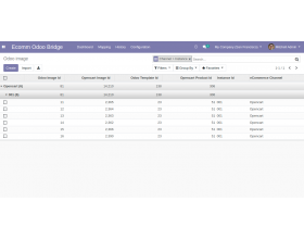 Odoo Bridge for Opencart Multi Image Extension