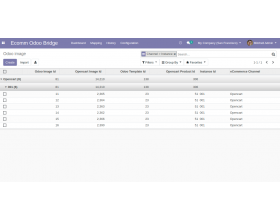 Odoo Bridge for Opencart Multi Language Extension