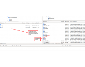 Magento (OpenMage) Search Suggestion