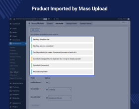 WooCommerce Marketplace Mass Upload