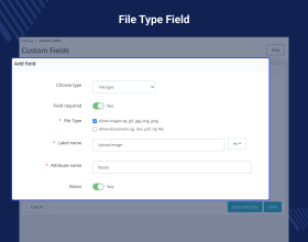 Prestashop Product Custom Field