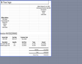 Odoo Invoice XLS Reports