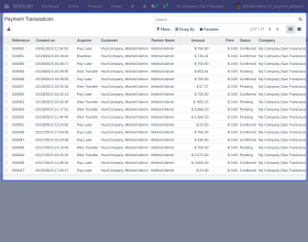 Odoo Payment Acquirer PayLater