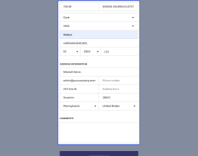 Odoo Website Bambora Payment Gateway