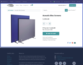 Odoo Website PayLater
