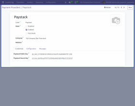 Odoo Website Paystack Payment Acquirer