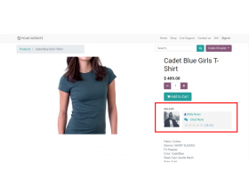 Odoo Marketplace Buyer Seller Live Chat