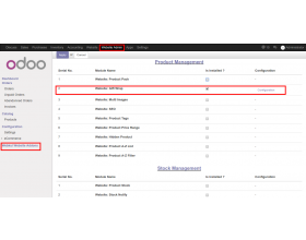 Odoo Website Gift Wrap