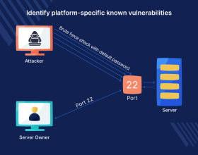 Ecommerce Security Audit Basic Plan