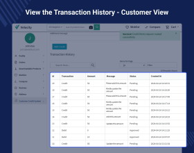 Laravel Customer Credit Extension