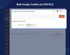 Magento 2 Credit System