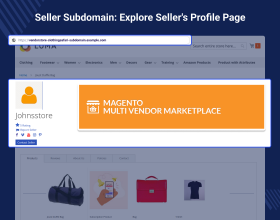 Magento 2 Vendor Subdomain