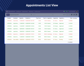 Odoo Appointment Management System