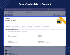 Odoo Multi Channel Sale