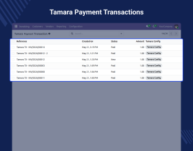 Odoo Tamara Payment Integration