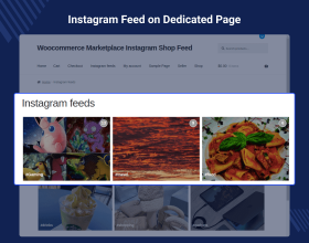 Multi Vendor Social Feeds for WooCommerce
