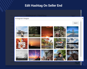 Multi Vendor Social Feeds for WooCommerce