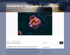 WordPress CMS Akeneo Connector