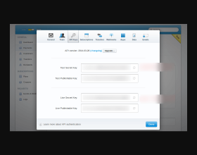 Magento Stripe Payment Gateway