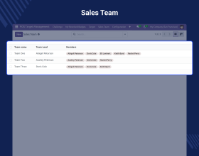 Odoo POS Target Management 