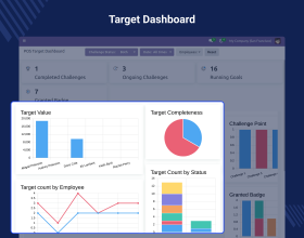 Odoo POS Target Management 