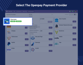 Odoo Website OpenPay Payment Acquirer