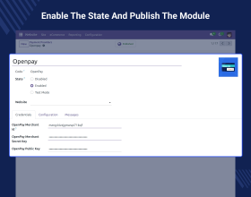 Odoo Website OpenPay Payment Acquirer